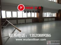 落地固定式舞蹈把桿，一級加厚鑄鐵的舞蹈把桿，穩(wěn)固安
