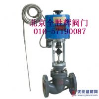 進(jìn)口電動(dòng)溫度調(diào)節(jié)閥品牌，廠家，價(jià)格